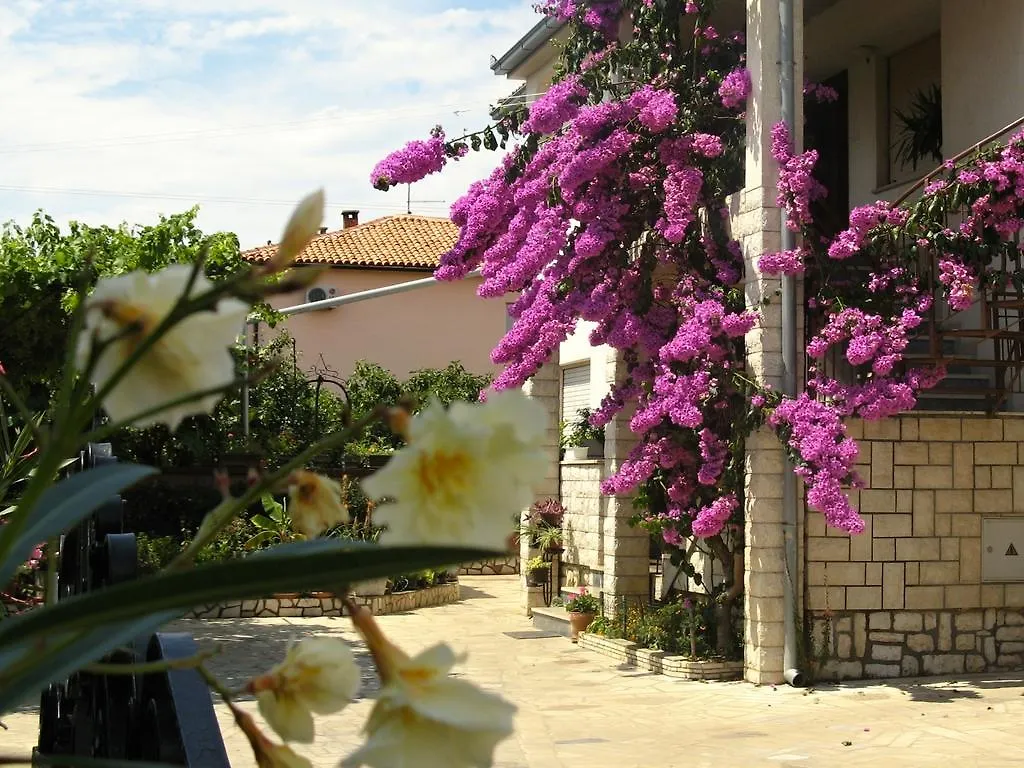 Apartments Villa Rosa Rovinj Croatia