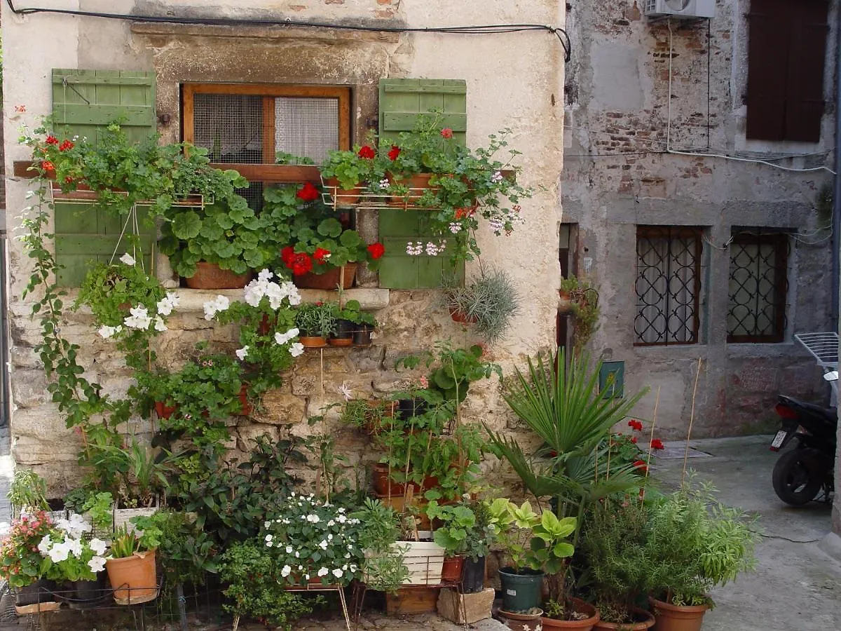Apartments Villa Rosa Rovinj Croatia