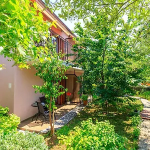 Lavanda Rovinj