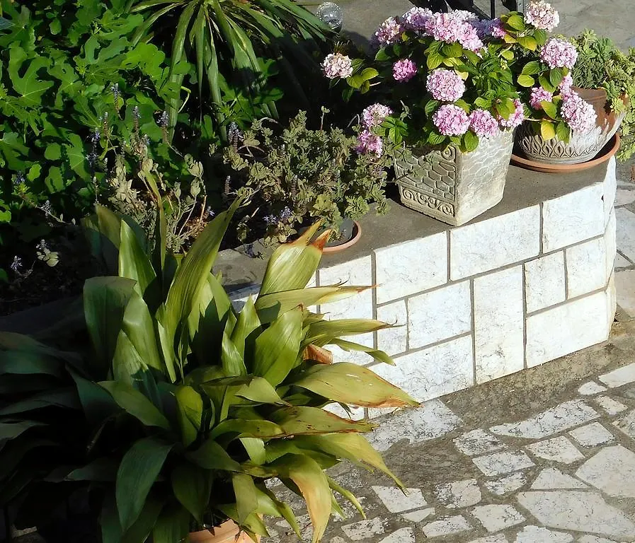 Apartments Villa Rosa Rovinj Horvátország